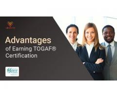 TOGAF Certification in South Africa