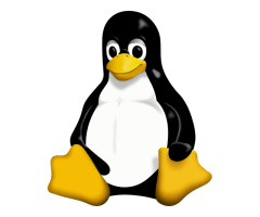 Linux for Desktops