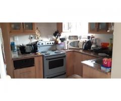 Spacious furnished bachelor flat for rent