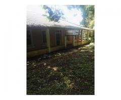 4 Bedroom house in Richmond