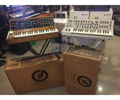 Moog Minimoog Model D Analog Synthesizer - Walnut Limited Edition